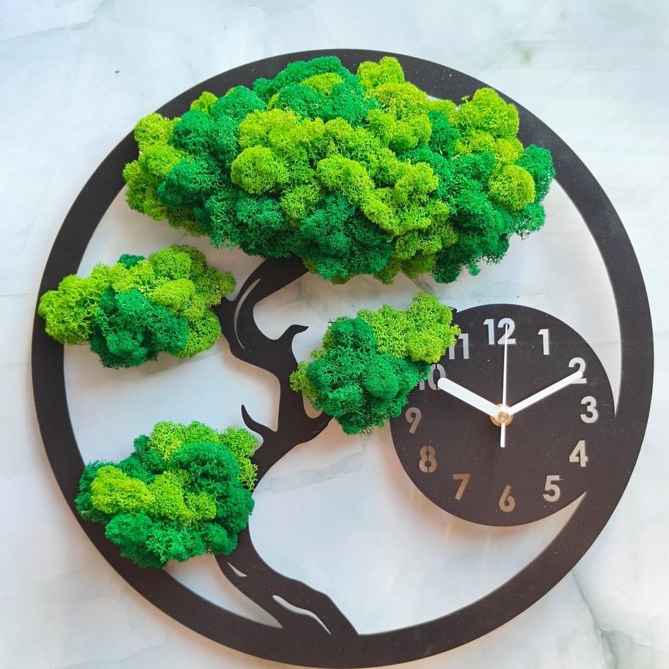 Moss clock, bonsai tree