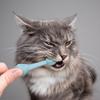 Pet Toothbrush For Dogs And Cats Oral Care Dental Cleaning Brush Prevent Tartar Build-Up Essential Pet Supplies