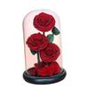 Valentines Day Gifts for Mom,Eternal Rose in Glass Dome, Valentines Day Decor