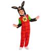 Bing Childrens/Kids Deluxe Costume Set