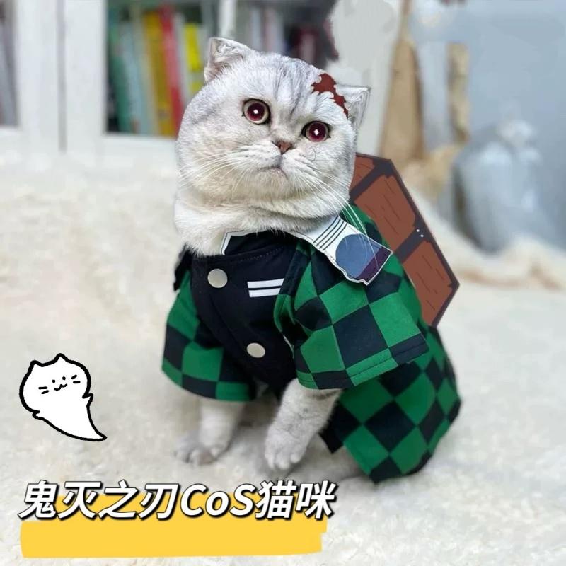 Anime Demon Slayer Zenitsu Pet Clothing Tanjirou Nezuko Zenitsu Giyuu Kawaii Cats Dogs Costumes Cosplay Clothing Pet Supplies