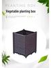 Modular Gardening & Seedling Box for Vegetables, Trees, & Flowers – Perfect for Balcony & Greenhouse Use
