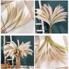 Fake Reed Grass Long-lasting Fade-resistant Realistic Artificial Pampas Grass for Home Wedding Decoration