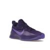 Nike Кроссовки LeBron TR 1 Purple Rain Unisex Court-Purple Action-Grape FJ6151-500