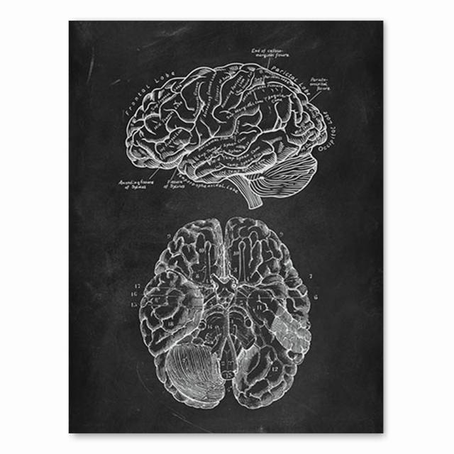 Анатомия человека, художественная работа, медицинская клиника, настенная картина, скелет, орган, мышечная система, винтажный холст с принтом, плакат для обучения телу, без рамки