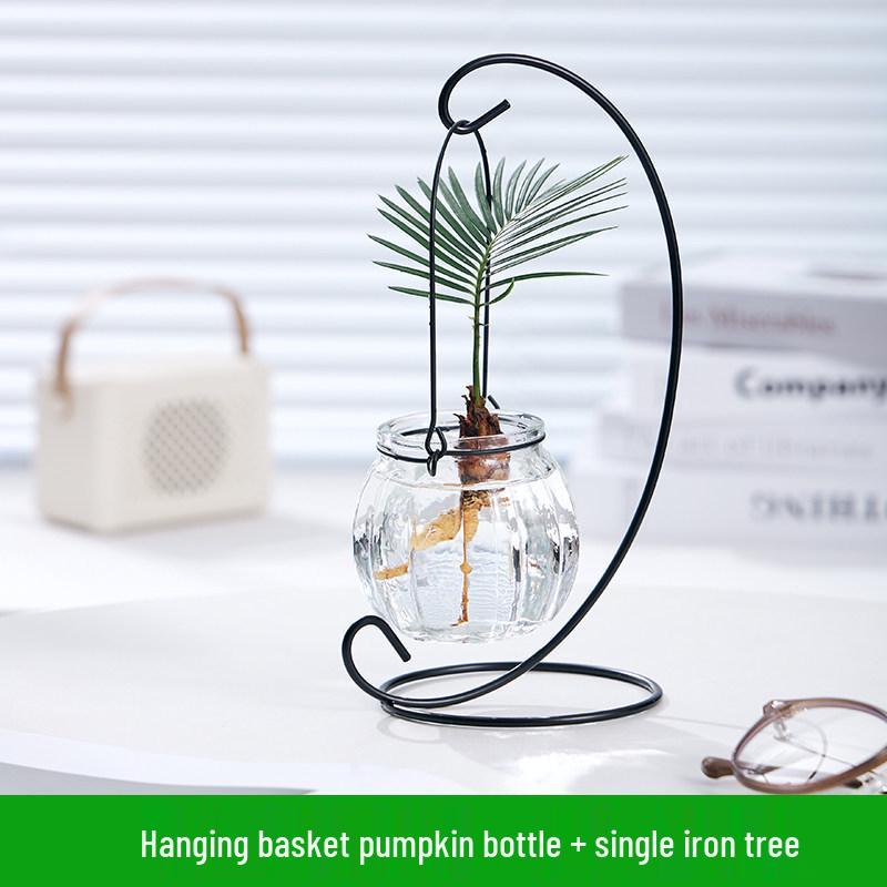 Indoor Desktop Murraya: Easy-Care Blooming Green Hydroponic Plants for Office & Living Room