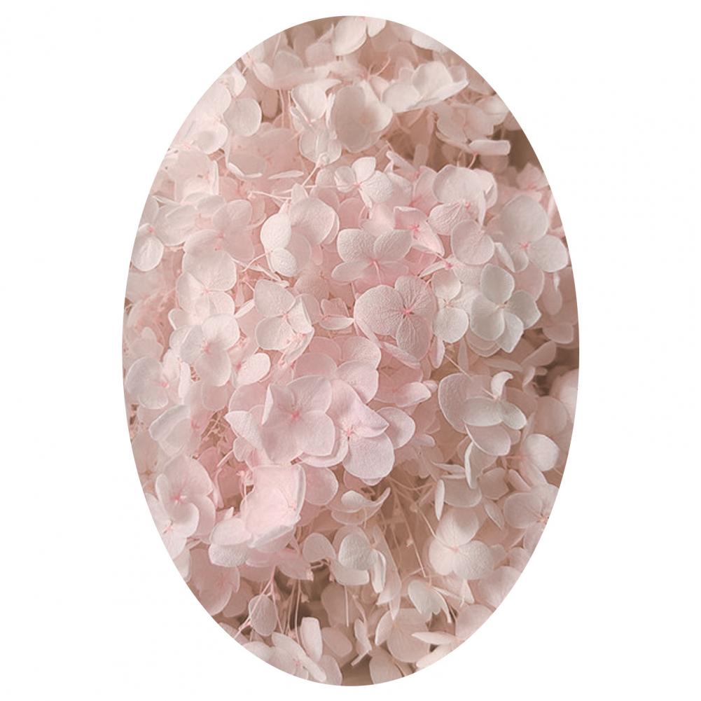 1 коробка цветных сухоцветов натуральные реалистичные головки гортензии своими руками натуральные свежие стабилизированные цветы гортензия свадебные сувениры