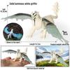 Realistic African Wildlife Lion Toy Set: Male, Female, and Mountain Lion for Children's Cognitive Learning
