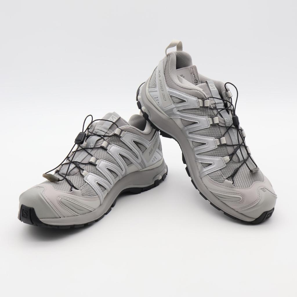 L41617500 Salomon XA Pro 3D Alloy Silver (Мужской)