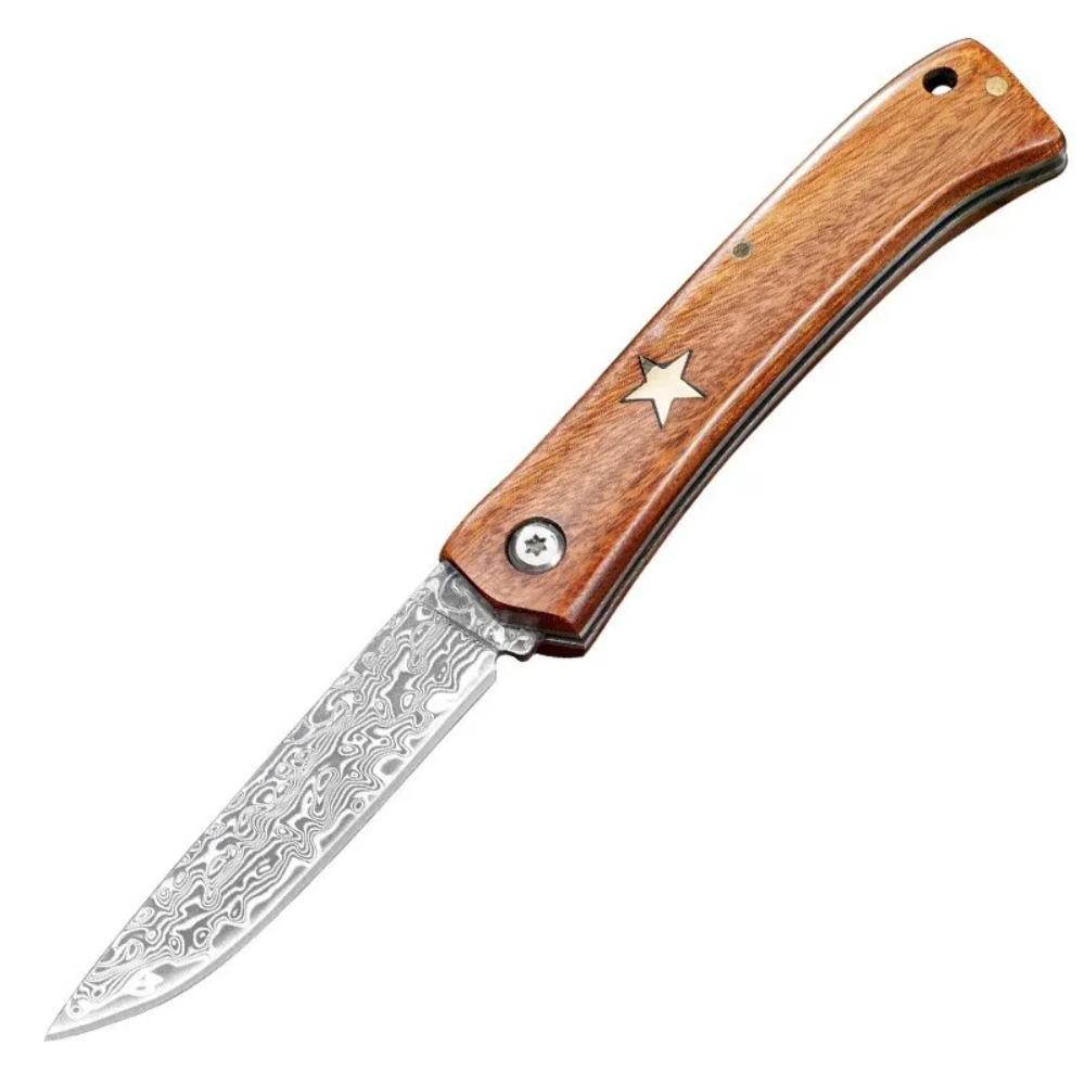Damascus Steel Portable Meat Eating Outdoor Camping Mini Folding Knife Sharp Fruit Knife