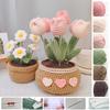 Crochet Starter Kit Creative Improve Hands-on Ability Soft Tulip Potted Crochet Material Bag Handmade Shop Use