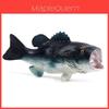Игрушка-модель рыбы Lateolabrax Japonicus из пластика для декора морского аквариума