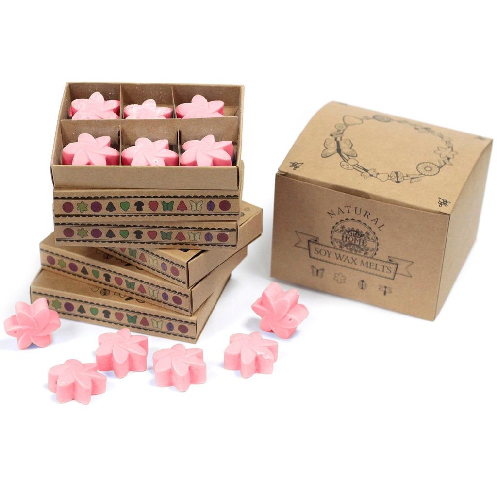 2x Wax Melts Japanese Magnolia Box