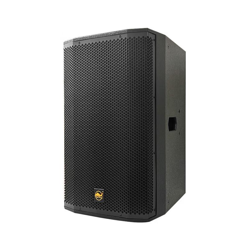 Shengcaigu LH-15H 15-inch Conference Speaker CN plug (adapter included)