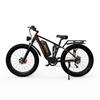 DUOTTS S26 Electric Bike 750W Motor, 48V 20Ah Samsung Battery, 120KM Range, IP55 Waterproof, 55° Climbing