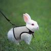 Rabbit Harnesses Vest Leashes Set Soft Mesh Harness With Leash Small Animal Guinea Pig Hamsters