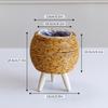Wicker Triangle Flower Stand: Creative Straw Woven Pot for Succulents and Plants in Living Room or Desktop.