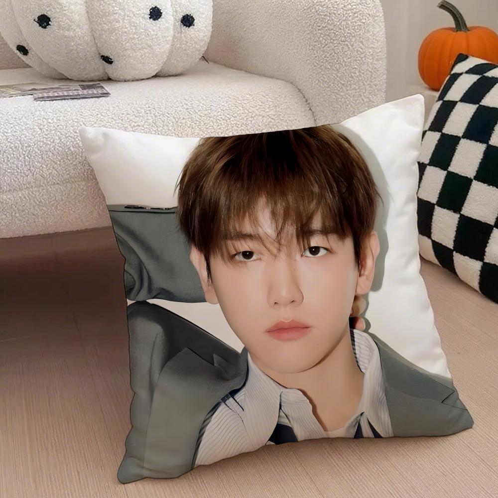Classic Korean Handsome Singer BByun Baekhyun Cushion Cover Throw Pillow Cover Hidden Button Durable Polyester Chair Cushion