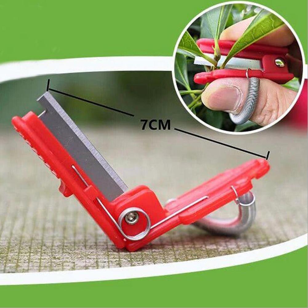 Thump Knife Separator Vegetable Fruit Harvesting Picking Tool For Farm Garden Orchard Easy To Cut In Clean And Labor-saving