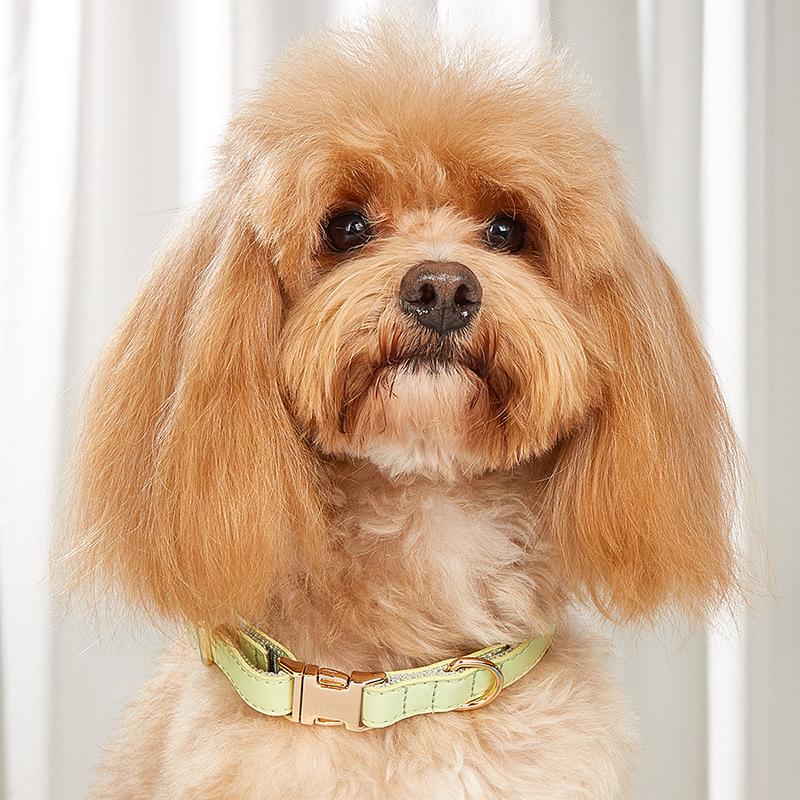 Ошейник для собак, ошейник для кошек в стиле ретро конфетного цвета, ошейник для маленьких и средних собак, ошейник для домашних собак