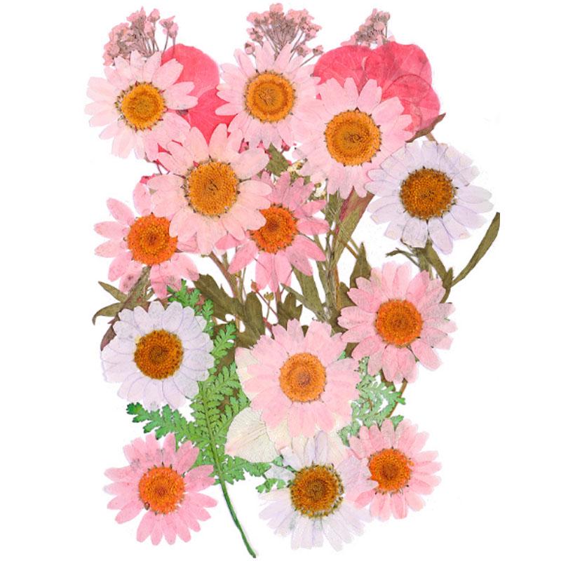 Популярные маленькие 25 шт./пакет, высокое качество, украшение для дома, сушеные цветы, прессованные цветы, консервированные цветы, сделай сам, мини-цветы ручной работы