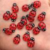 60pcs 9mm*13mm Resin Cute Colorful Beautiful Red Beetle Flat Back Rhinestone