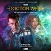 The Tenth Doctor Adventures The Tenth Doctor and River Song ... 9781838683313