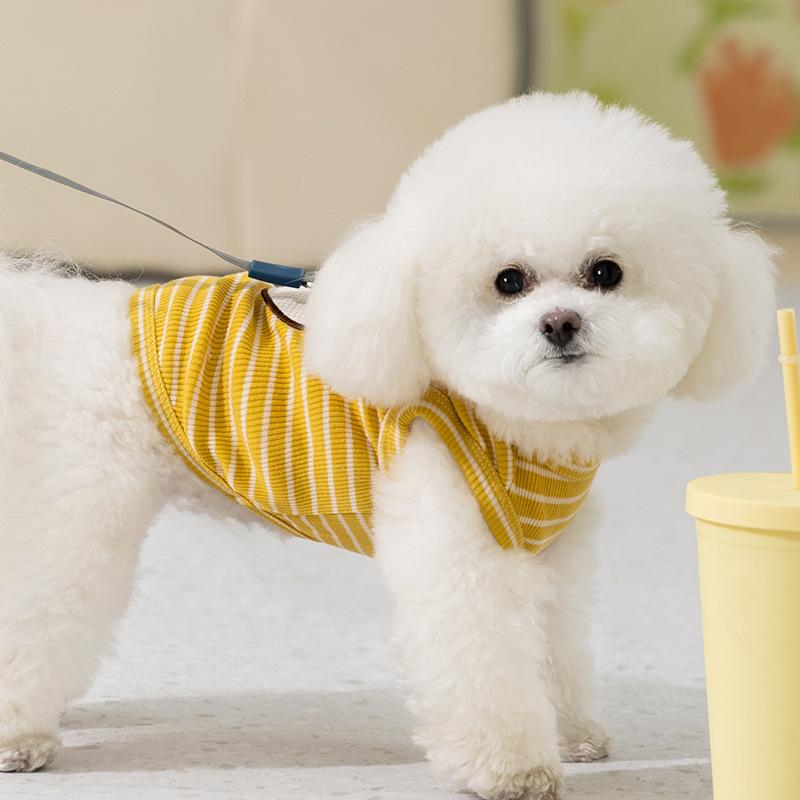 Spring and Summer New Teddy Bear Small Dog Two-legged Vest Thin Breathable Cat Pet Dog Dog Clothing