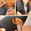Comfortable Dog Sterilization Suit Elastic Cat Jumpsuit Cat Weaning Suit  Travel Use