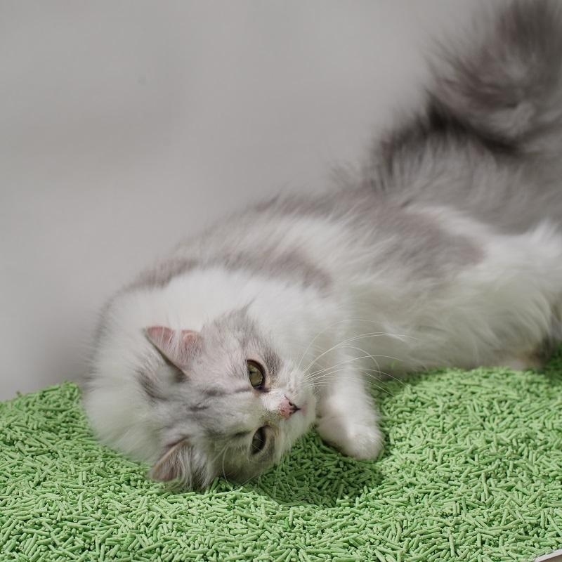Leo Cat Litter - Green Tea