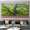 Landscape Pictures Green Tree Canvas Painting Forest Posters and Prints Wall Art Giant Trees Pictures for Living Room Home Decor