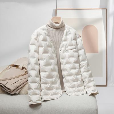 2024 Новый легкий и тонкий пуховик женский зимний повседневный свободный простой теплый пуховик для женщин с эффектом старения Tide