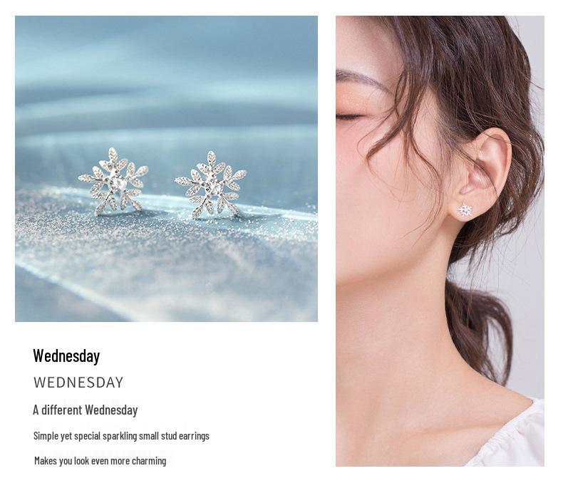 S925 Silver Stud Earrings Gift Set for Her - Perfect for Christmas, Birthday, or Special Occasion
