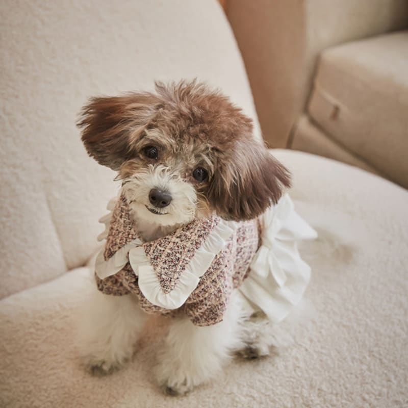 CAHIERS Wide Frill Collar Tweed Jacket