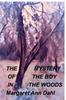 Книга The Mystery of the Boy In the Woods