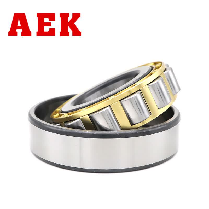 AEK Cylindrical Roller Bearing