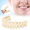 Dental Tooth Models for Patients with Oral Defects, Dental Supplies and Accessories To Repair Bad Teeth and Missing Teeth
