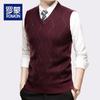 Luomeng Men's V-Neck Sweater Vest LZ6535