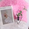 2PCS Black Wall Hanging Vase Iron Wall Mount Flower Vase Modern Metal Wall Vase  Bedroom