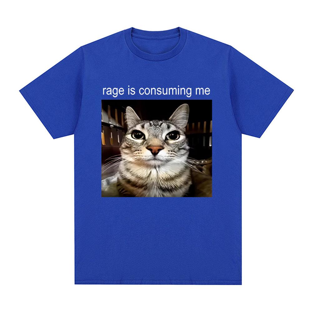 Ярость Поглощает Меня Глупый Смотрящий Кот Мем Футболка Повседневная Хлопковая Футболка с Коротким Рукавом Мужская Женская Футболка для Любителей Кошек Оверсайз