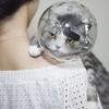 Breathable Pet Grooming Muzzle Mask Kitten Protective Helmet Anti-bite Space Hood Cat Head Cover