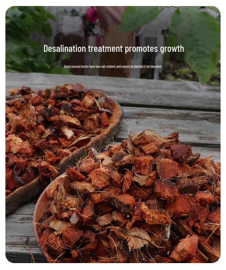 Coarse Desalinated Coconut Brick for Dendrobium Phalaenopsis - Large Particle Orchid Planting Medium