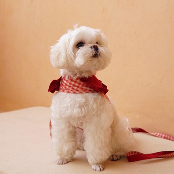 Dog Boutique Dog Frill Harness Leash Set Chest Strap Walking Supplies, Red
