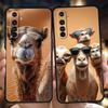 Мягкий ТПУ Для Realme 11 10 9 Pro Plus GT2 GT3 GT5 C21 C25 C35 C53 C55 C67 Pro 5G Ударопрочный Чехол для Телефона Животное Верблюд Fundas Capas