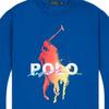 Мужской свитшот Polo Ralph Lauren с принтом, круглым вырезом, MNPOKNI16821864-401