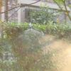 Agriculture Greenhouse Automatic Irrigation System Rotating Refraction Micro Nozzle Vegetable Garden Lawn Orchard Sprinkler 50Pc