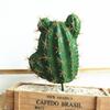 1 шт., искусственный кактус, суккулентное растение, бонсай, офисный стол, домашний декор для вечеринки?