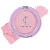 Forencos Pure Blusher, 09 Timid, 1 шт.