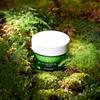 Dr.Ceuracle Tea Tree Purifine Cream Soothing Refreshing 50g