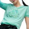 adidas Футболка с короткими рукавами и принтом логотипа Alphabet Sports, женская, мятно-зеленая, DY8613